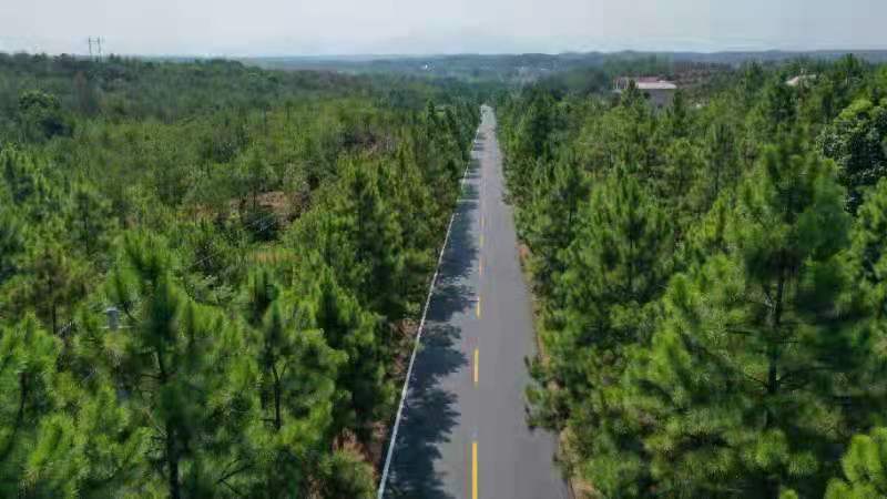 泰和縣古坪至竹山（苑前至竹山段）縣道路面改造工程